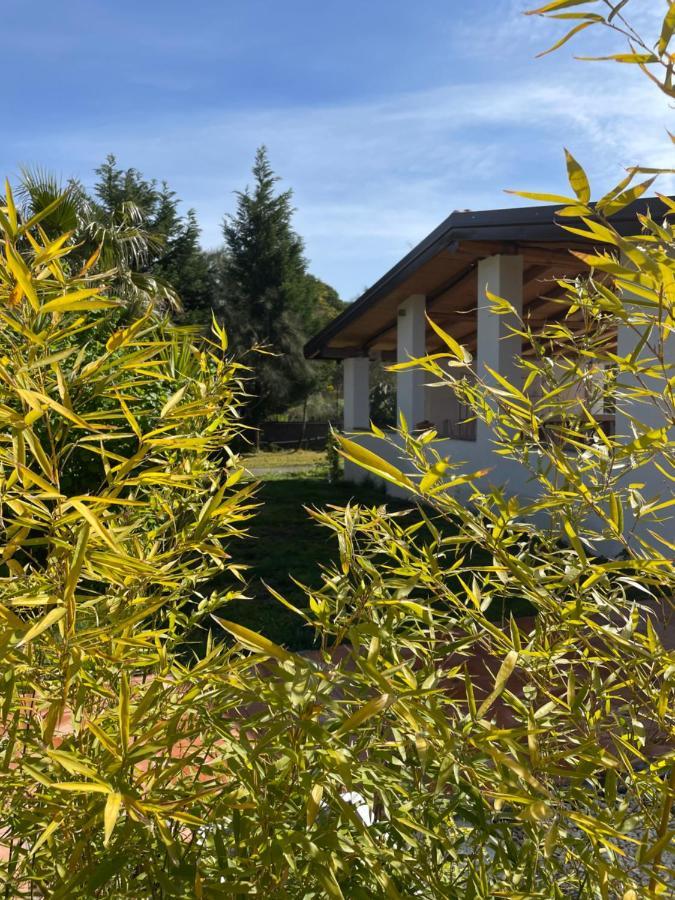 Etna Petit Relais Bed & Breakfast Nicolosi Luaran gambar